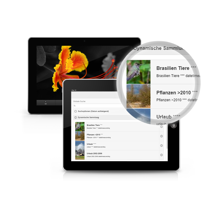 PicApport: El marco electrónico con función de presentar diapositivas