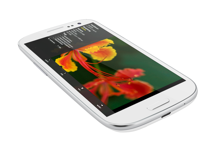 Keine Applet-Installation notwendig Keine Applet-Installation notwendig
